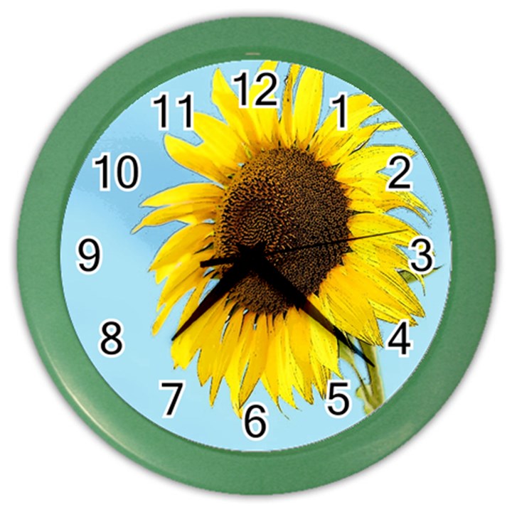 Sunflower Color Wall Clocks