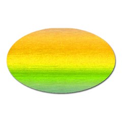 Ombre Oval Magnet by ValentinaDesign