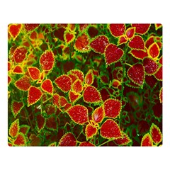 Flower Red Nature Garden Natural Double Sided Flano Blanket (large)  by Nexatart