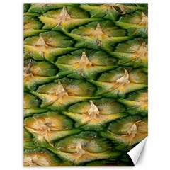 Pineapple Pattern Canvas 36  X 48   by Nexatart