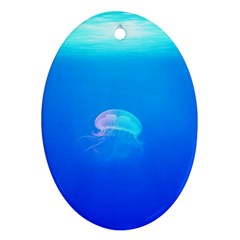 Jellyfish Ornament (oval) by Valentinaart