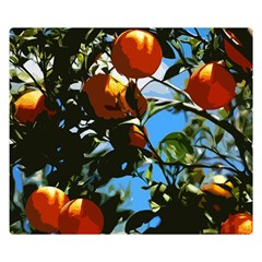 Orange Tree Double Sided Flano Blanket (small) 