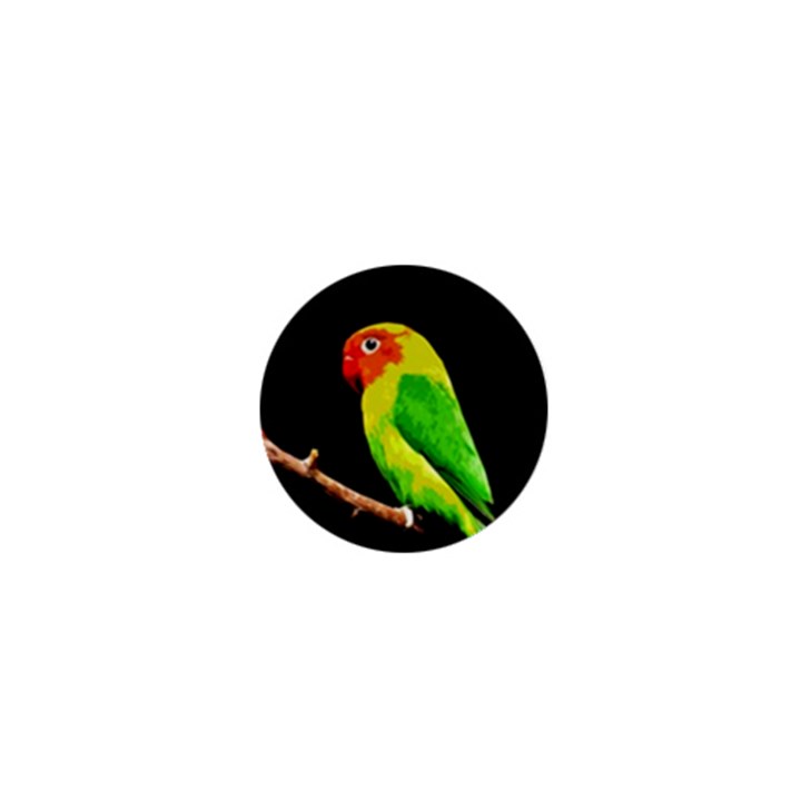 Parrot  1  Mini Magnets