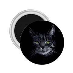 Domestic Cat 2 25  Magnets by Valentinaart