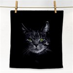 Domestic cat Face Towel Front