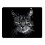 Domestic cat Fleece Blanket (Small) 50 x40  Blanket Front