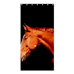 Horse Shower Curtain 36  X 72  (stall)  by Valentinaart