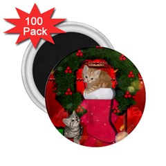 Christmas, Funny Kitten With Gifts 2 25  Magnets (100 Pack)  by FantasyWorld7