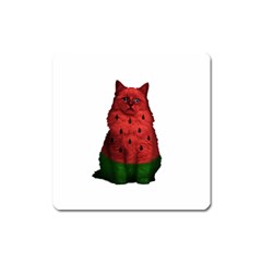 Watermelon Cat Square Magnet by Valentinaart