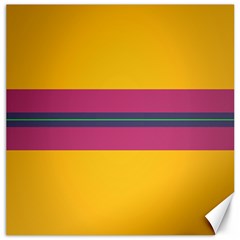 Layer Retro Colorful Transition Pack Alpha Channel Motion Line Canvas 20  X 20   by Mariart