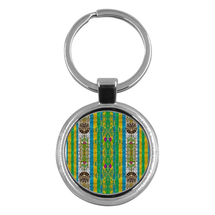 Rainbows Rain In The Golden Mangrove Forest Key Chains (Round) 