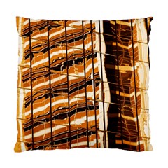 Abstract Architecture Background Standard Cushion Case (one Side) by Nexatart