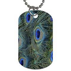 Peacock Feathers Blue Bird Nature Dog Tag (two Sides) by Nexatart