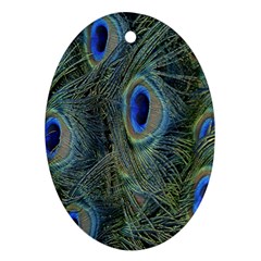 Peacock Feathers Blue Bird Nature Oval Ornament (two Sides) by Nexatart