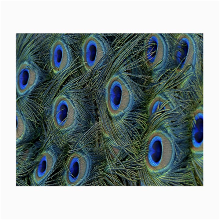Peacock Feathers Blue Bird Nature Small Glasses Cloth (2-Side)
