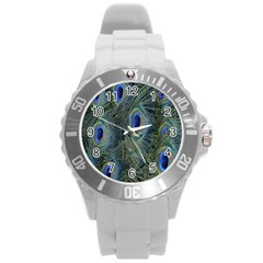 Peacock Feathers Blue Bird Nature Round Plastic Sport Watch (l) by Nexatart