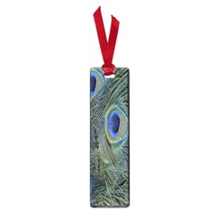 Peacock Feathers Blue Bird Nature Small Book Marks by Nexatart