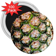 Pineapple Texture Macro Pattern 3  Magnets (100 Pack)