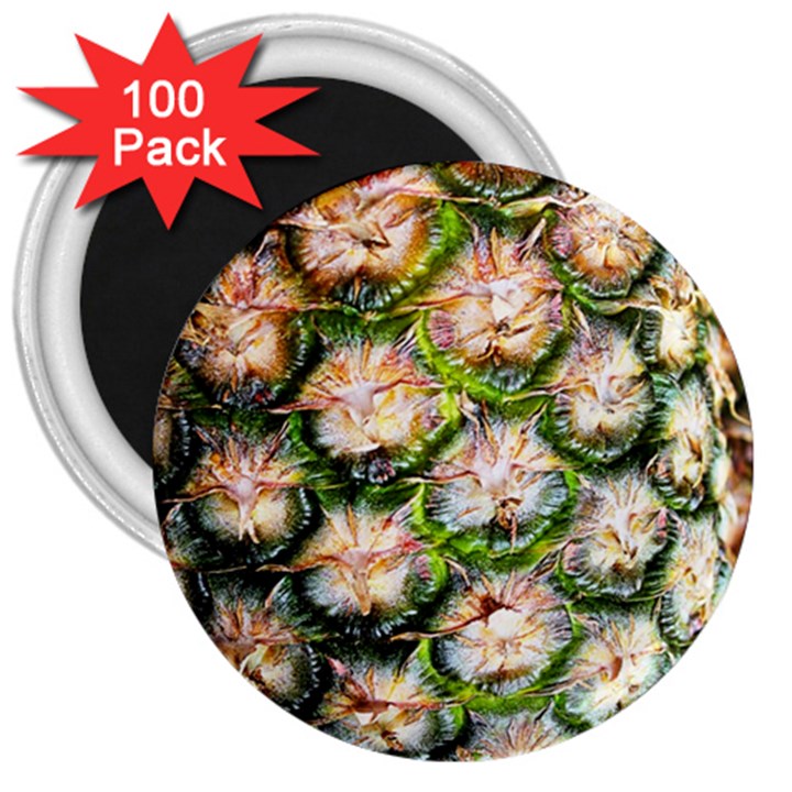 Pineapple Texture Macro Pattern 3  Magnets (100 pack)