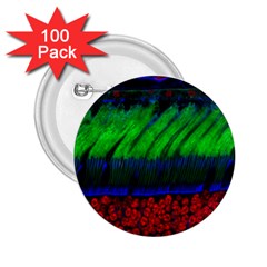 Cells Rainbow 2 25  Buttons (100 Pack) 