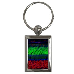 Cells Rainbow Key Chains (rectangle) 