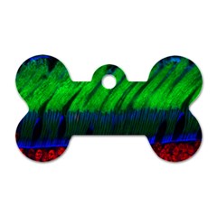 Cells Rainbow Dog Tag Bone (two Sides)