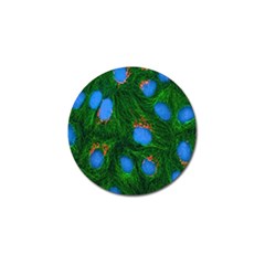 Fluorescence Microscopy Green Blue Golf Ball Marker (4 Pack)