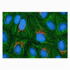 Fluorescence Microscopy Green Blue Large Glasses Cloth by Mariart