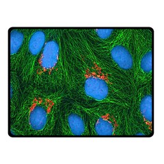 Fluorescence Microscopy Green Blue Fleece Blanket (small)