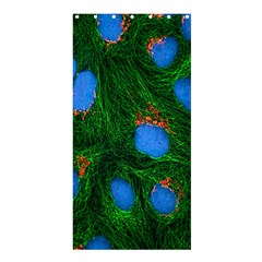 Fluorescence Microscopy Green Blue Shower Curtain 36  X 72  (stall) 