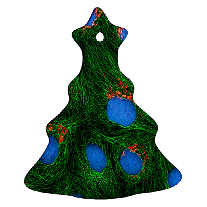 Fluorescence Microscopy Green Blue Ornament (Christmas Tree) 