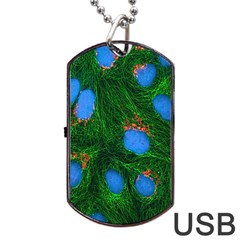 Fluorescence Microscopy Green Blue Dog Tag Usb Flash (one Side) by Mariart