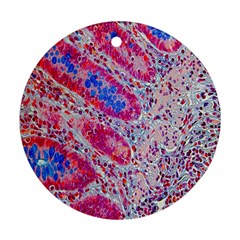 Histology Inc Histo Logistics Incorporated Alcian Blue Ornament (round) by Mariart