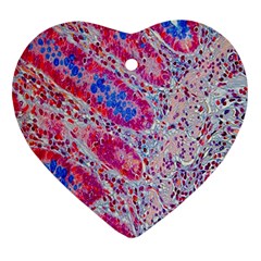 Histology Inc Histo Logistics Incorporated Alcian Blue Ornament (heart) by Mariart