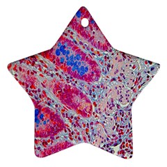 Histology Inc Histo Logistics Incorporated Alcian Blue Ornament (star) by Mariart
