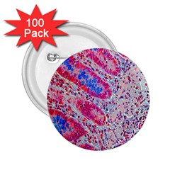 Histology Inc Histo Logistics Incorporated Alcian Blue 2 25  Buttons (100 Pack) 