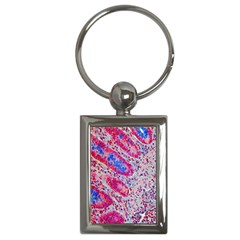 Histology Inc Histo Logistics Incorporated Alcian Blue Key Chains (rectangle)  by Mariart