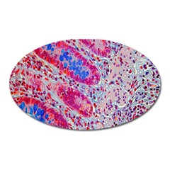 Histology Inc Histo Logistics Incorporated Alcian Blue Oval Magnet by Mariart