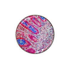 Histology Inc Histo Logistics Incorporated Alcian Blue Hat Clip Ball Marker (4 Pack) by Mariart