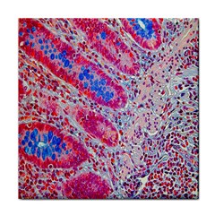 Histology Inc Histo Logistics Incorporated Alcian Blue Face Towel by Mariart