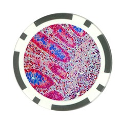 Histology Inc Histo Logistics Incorporated Alcian Blue Poker Chip Card Guard (10 Pack) by Mariart