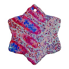 Histology Inc Histo Logistics Incorporated Alcian Blue Snowflake Ornament (two Sides) by Mariart