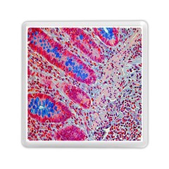 Histology Inc Histo Logistics Incorporated Alcian Blue Memory Card Reader (square)  by Mariart