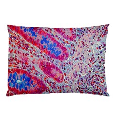 Histology Inc Histo Logistics Incorporated Alcian Blue Pillow Case (two Sides) by Mariart