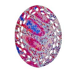 Histology Inc Histo Logistics Incorporated Alcian Blue Ornament (oval Filigree) by Mariart