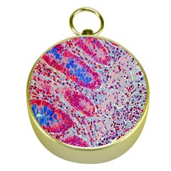 Histology Inc Histo Logistics Incorporated Alcian Blue Gold Compasses by Mariart