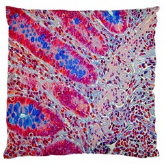 Histology Inc Histo Logistics Incorporated Alcian Blue Large Flano Cushion Case (one Side) by Mariart