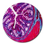 Histology Inc Histo Logistics Incorporated Masson s Trichrome Three Colour Staining Round Mousepads Front