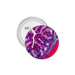 Histology Inc Histo Logistics Incorporated Masson s Trichrome Three Colour Staining 1 75  Buttons