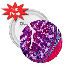 Histology Inc Histo Logistics Incorporated Masson s Trichrome Three Colour Staining 2 25  Buttons (100 Pack) 